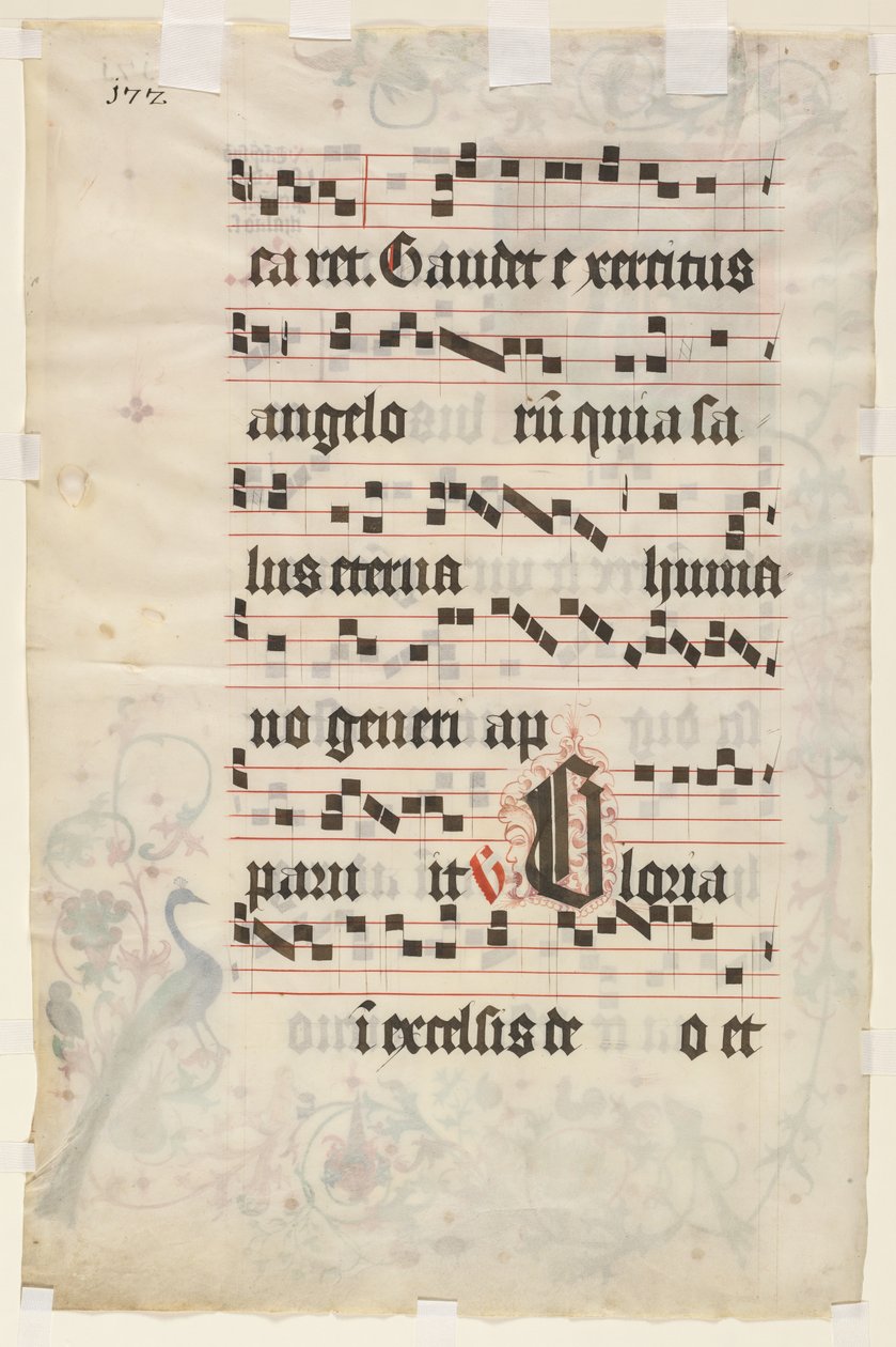 ورقة من Antiphonary: نص (ظهر) بواسطة فنان غير معروف