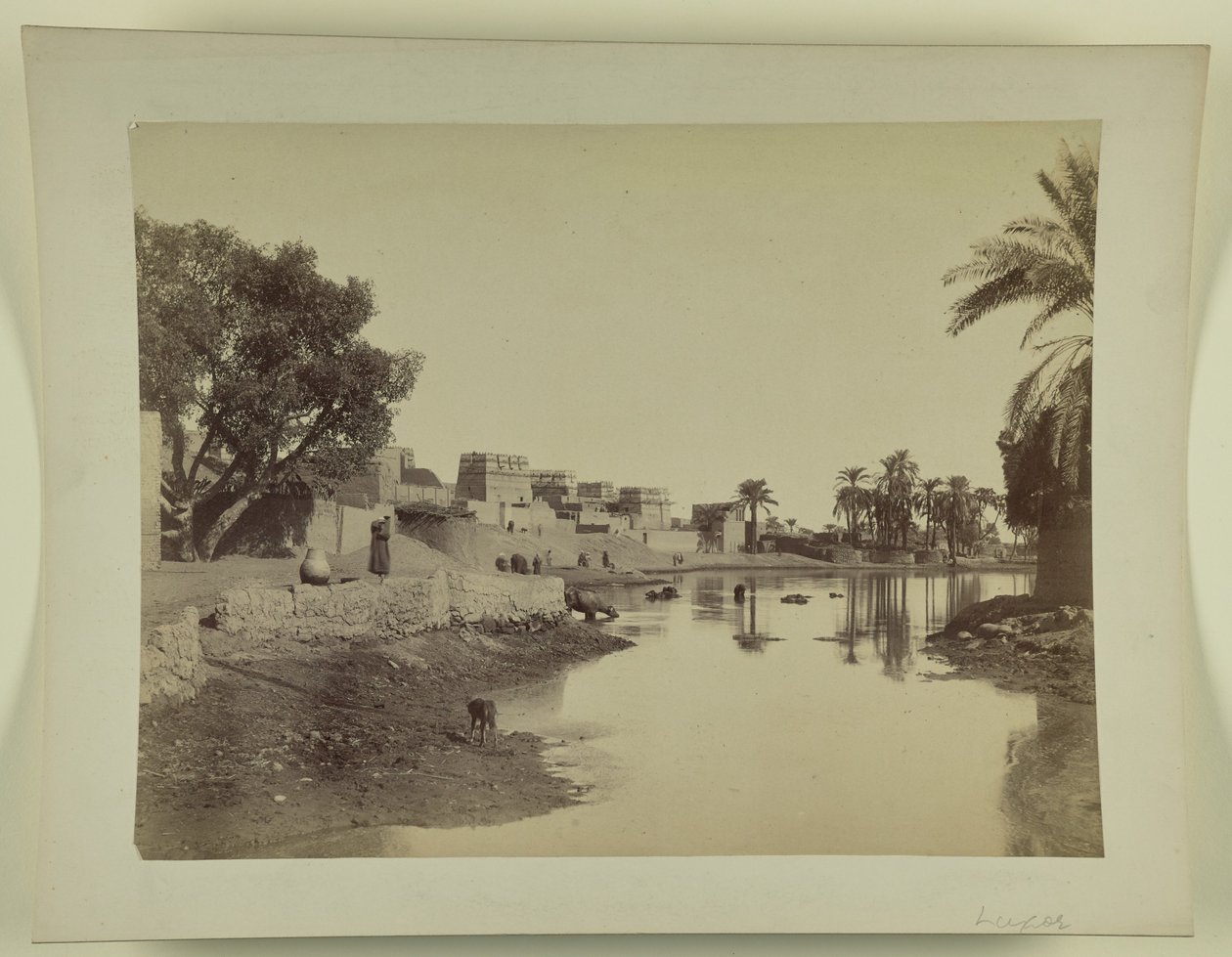  بواسطة فنان غير معروف