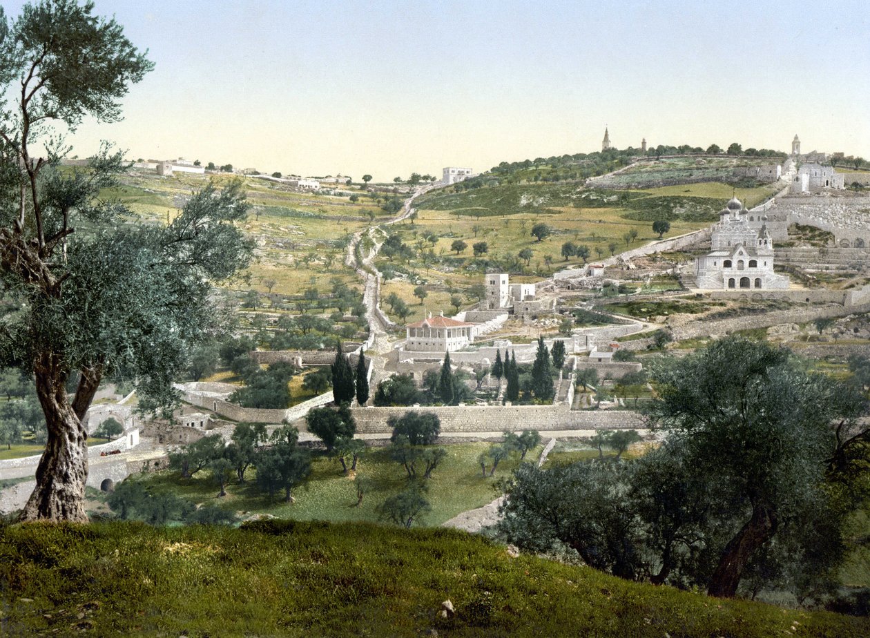 جبل الزيتون والجثسيماني ، القدس. الفوتوكروم بين 1890-1900. بواسطة فنان غير معروف