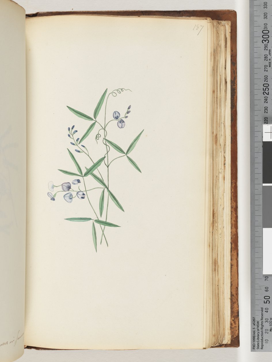 الصفحة 187. مصنع غير معروف بواسطة غير معروف