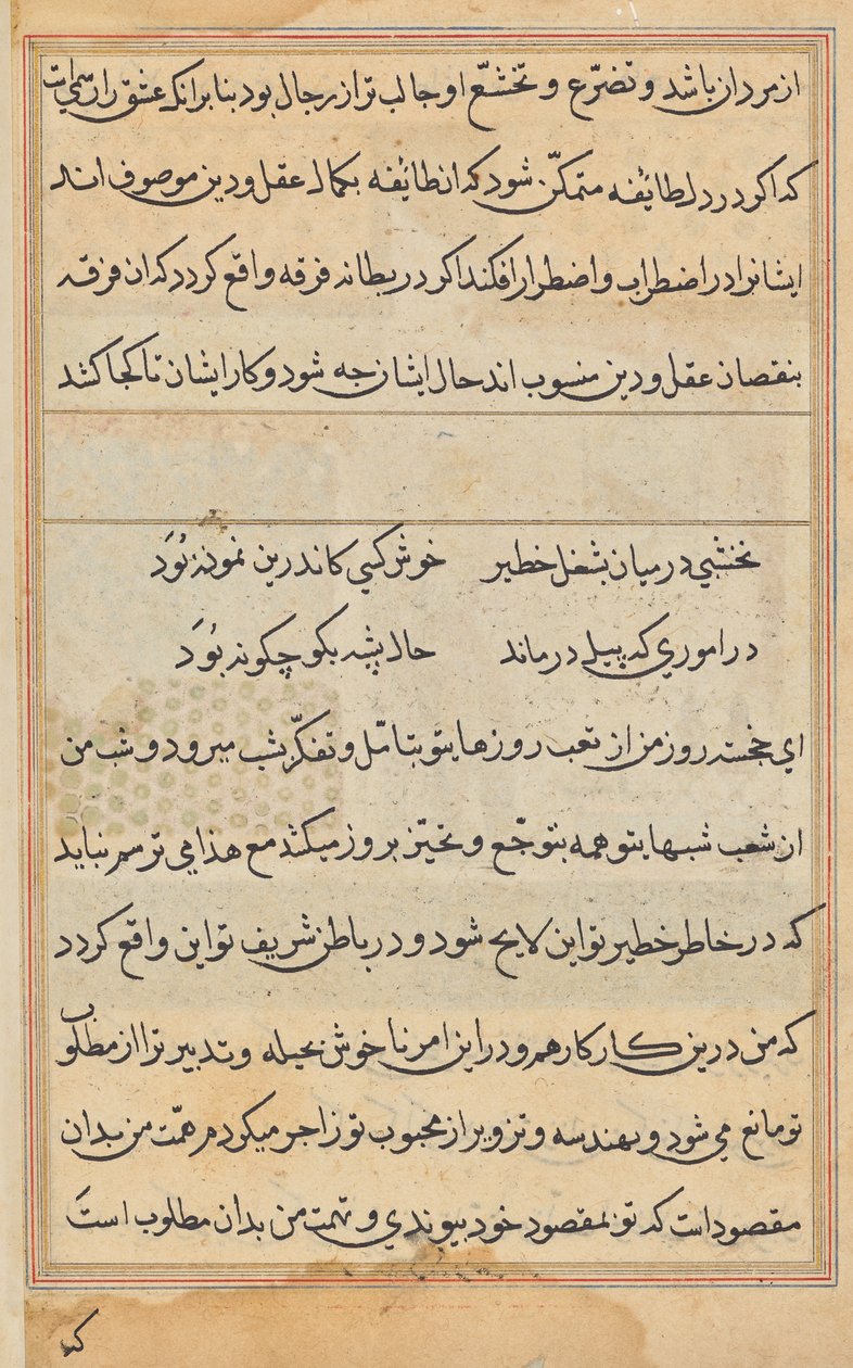 صفحة من حكايات ببغاء (توتي-ناما): صفحة نصية بواسطة فنان غير معروف
