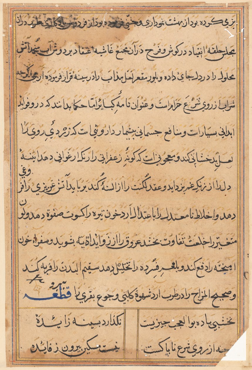 صفحة من حكايات ببغاء (توتي-ناما): صفحة نصية بواسطة فنان غير معروف