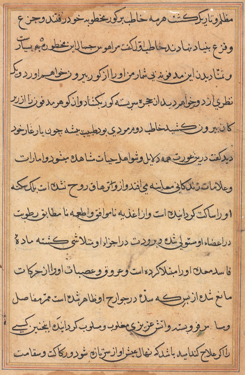 صفحة من حكايات ببغاء (توتي-ناما): صفحة نصية بواسطة فنان غير معروف