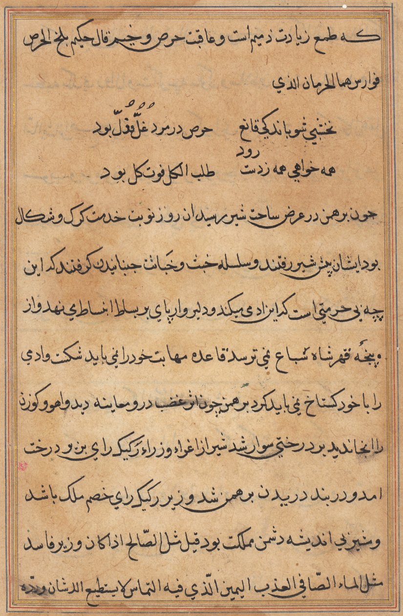 صفحة من حكايات ببغاء (توتي-ناما): صفحة نصية بواسطة فنان غير معروف