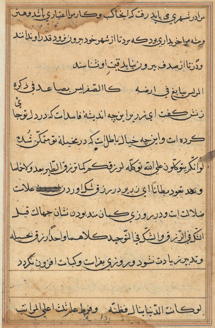 صفحة من حكايات ببغاء (توتي-ناما): صفحة نصية بواسطة فنان غير معروف