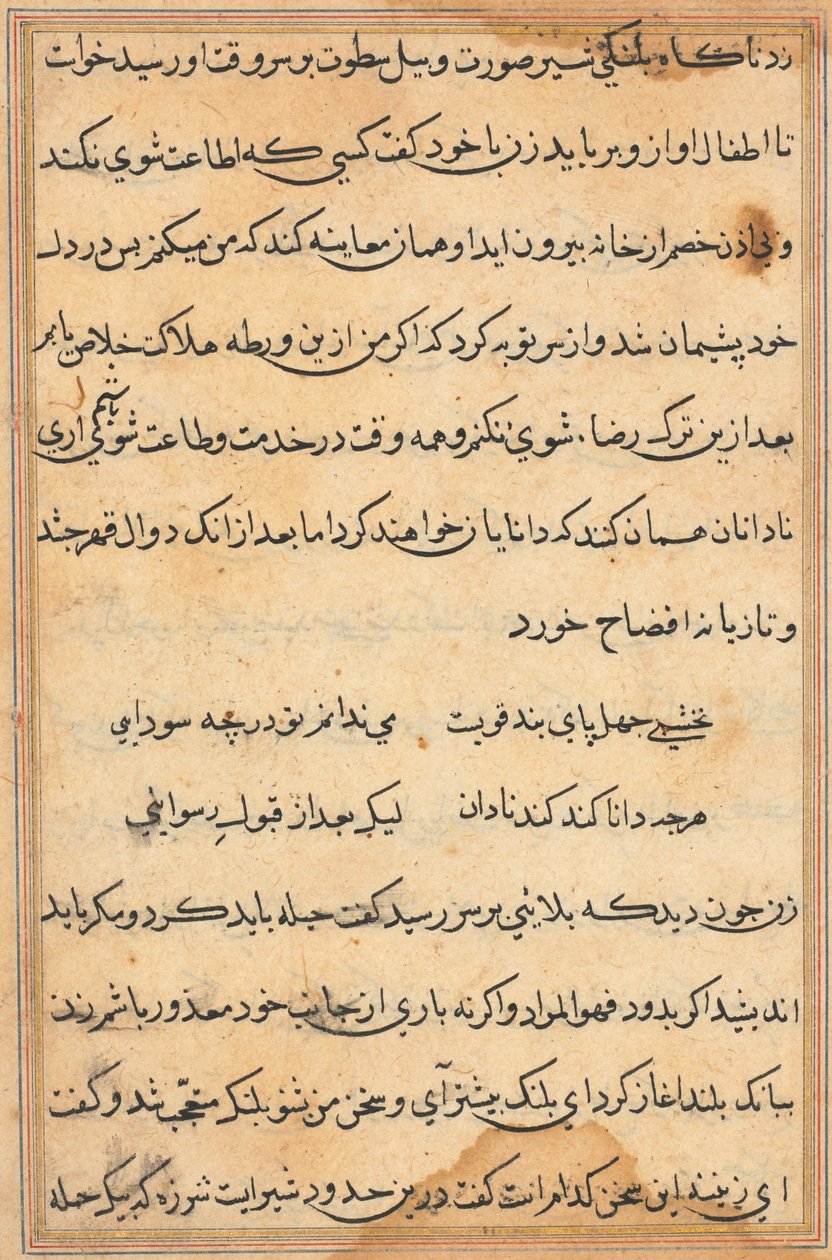 صفحة من حكايات ببغاء (توتي-ناما): صفحة نصية بواسطة فنان غير معروف