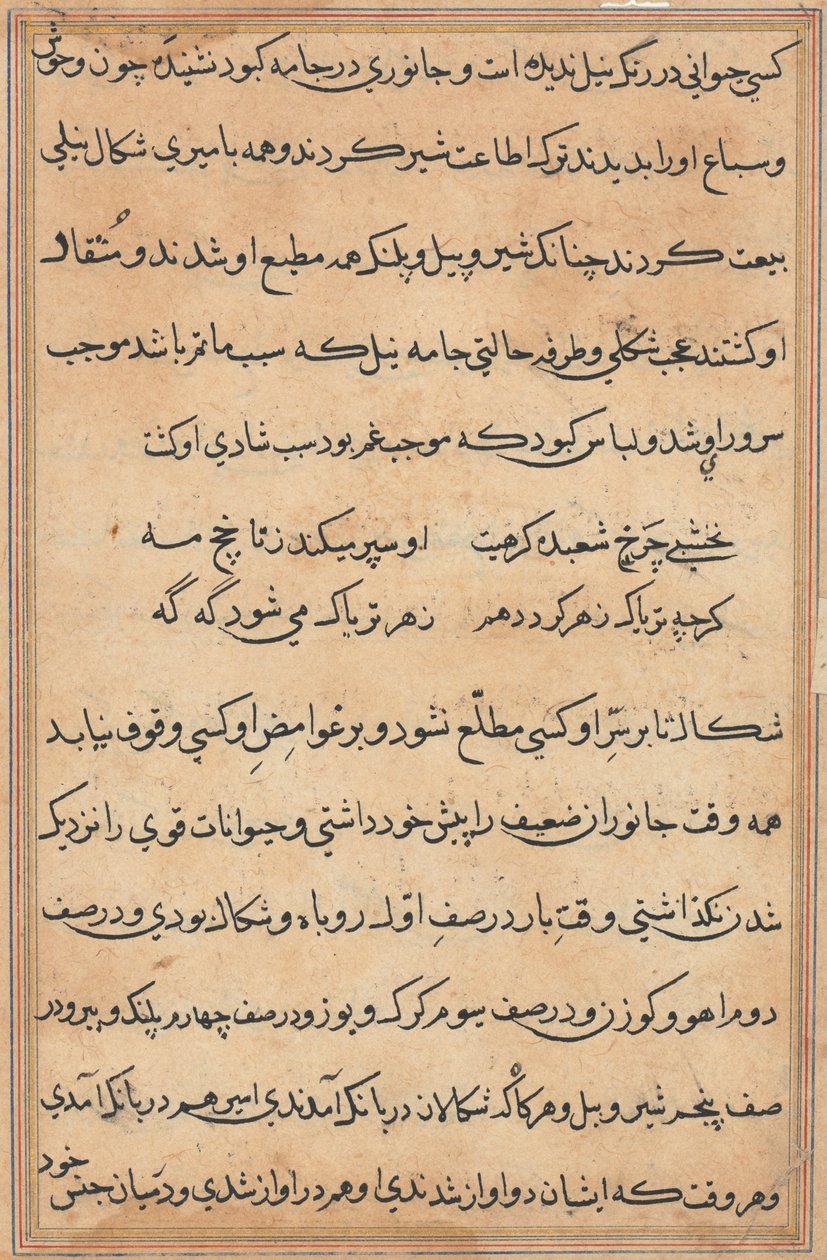 صفحة من حكايات ببغاء (توتي-ناما): صفحة نصية بواسطة فنان غير معروف