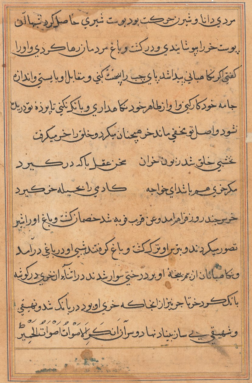 صفحة من حكايات ببغاء (توتي-ناما): صفحة نصية بواسطة فنان غير معروف