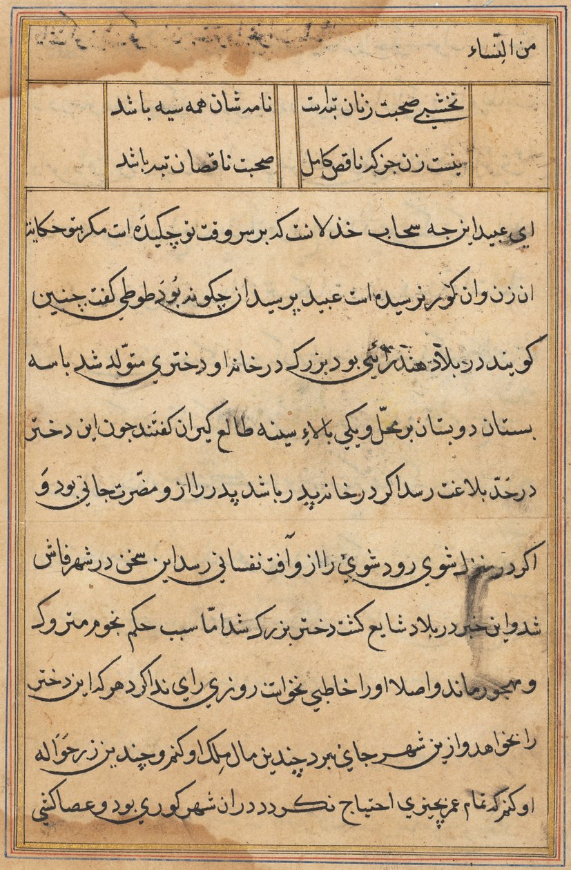 صفحة من حكايات ببغاء (توتي-ناما): صفحة نصية بواسطة فنان غير معروف