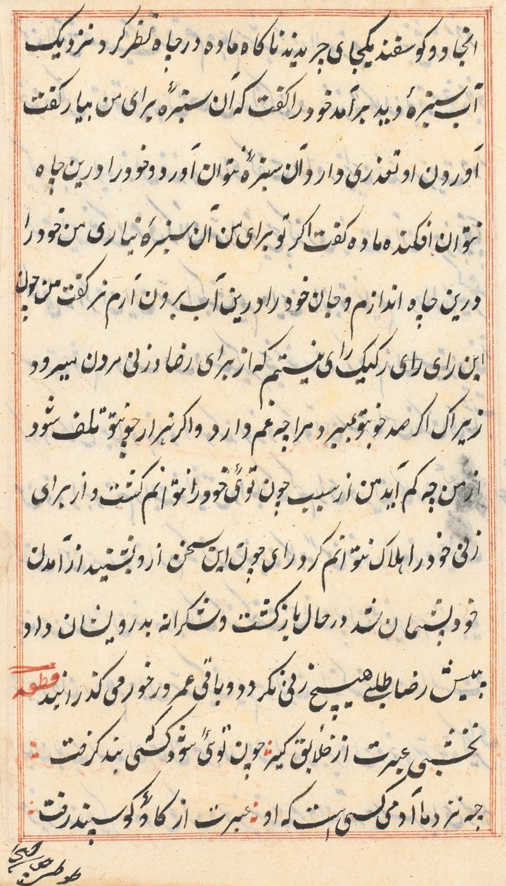 صفحة من حكايات ببغاء (توتي-ناما): صفحة نصية بواسطة فنان غير معروف