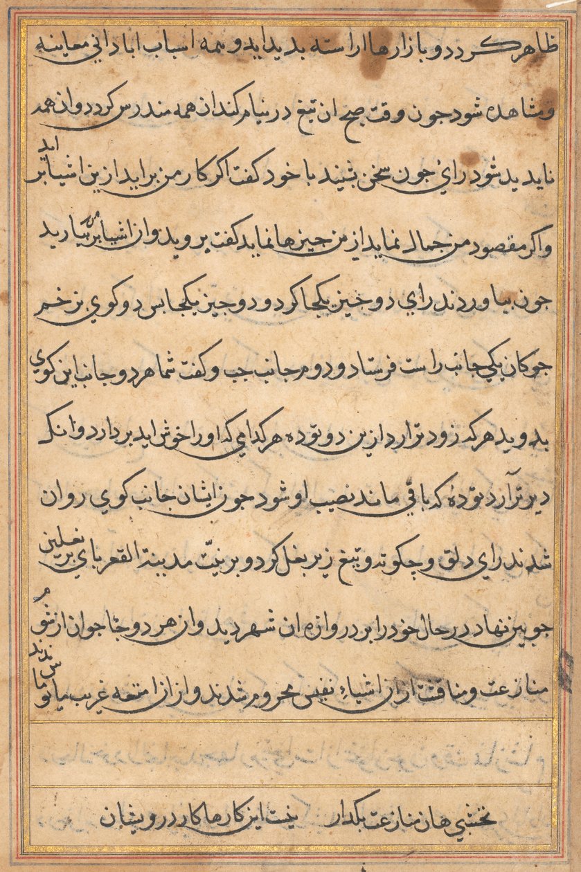صفحة من حكايات ببغاء (توتي-ناما): صفحة نصية بواسطة فنان غير معروف