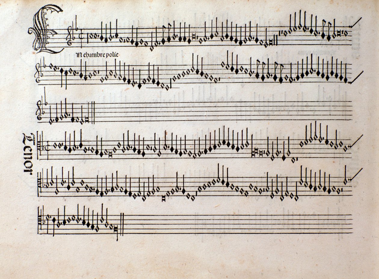 صفحة من المقطوعات الموسيقية للموسيقى التوافقية Odhecaton بواسطة Ottaviano Petrucci (1501) بواسطة فنان غير معروف