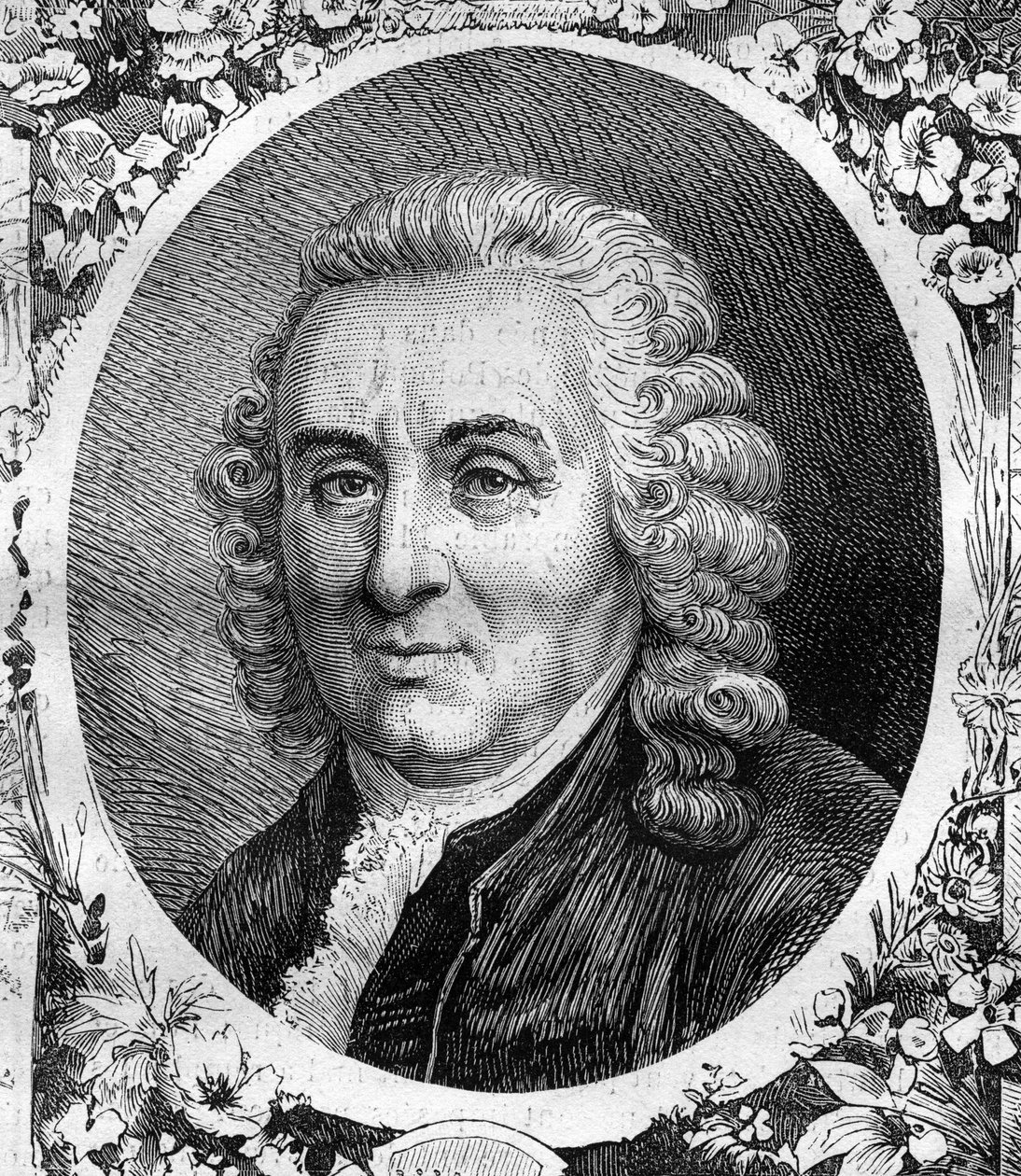 صورة تشارلز لين (كارل فون لين ، كارل لينيوس) (1707-1778) ، عالم الطبيعة السويدي. نقش من عام 1878. بواسطة فنان غير معروف