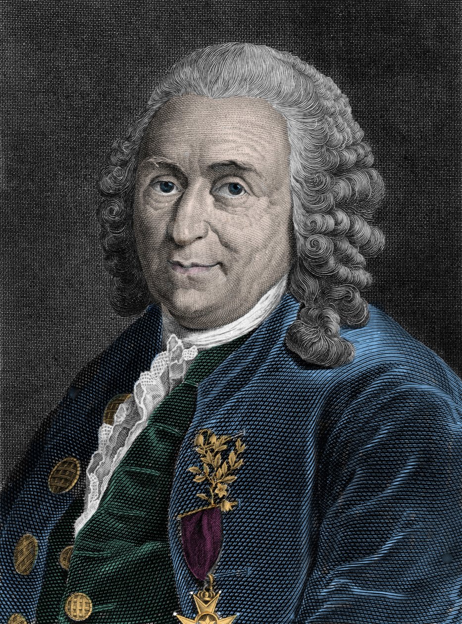 صورة تشارلز لين (كارل فون لين ، لينيوس 1707-1778) ، عالم الطبيعة السويدي. نقش القرن التاسع عشر. بواسطة فنان غير معروف