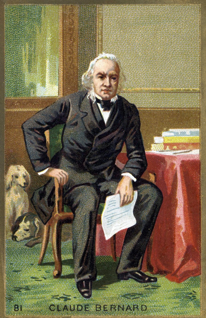 صورة لكلود برنارد (1813-1878) ، عالم فيزيولوجي فرنسي. الطباعة الحجرية الملونة في القرن التاسع عشر. بواسطة فنان غير معروف