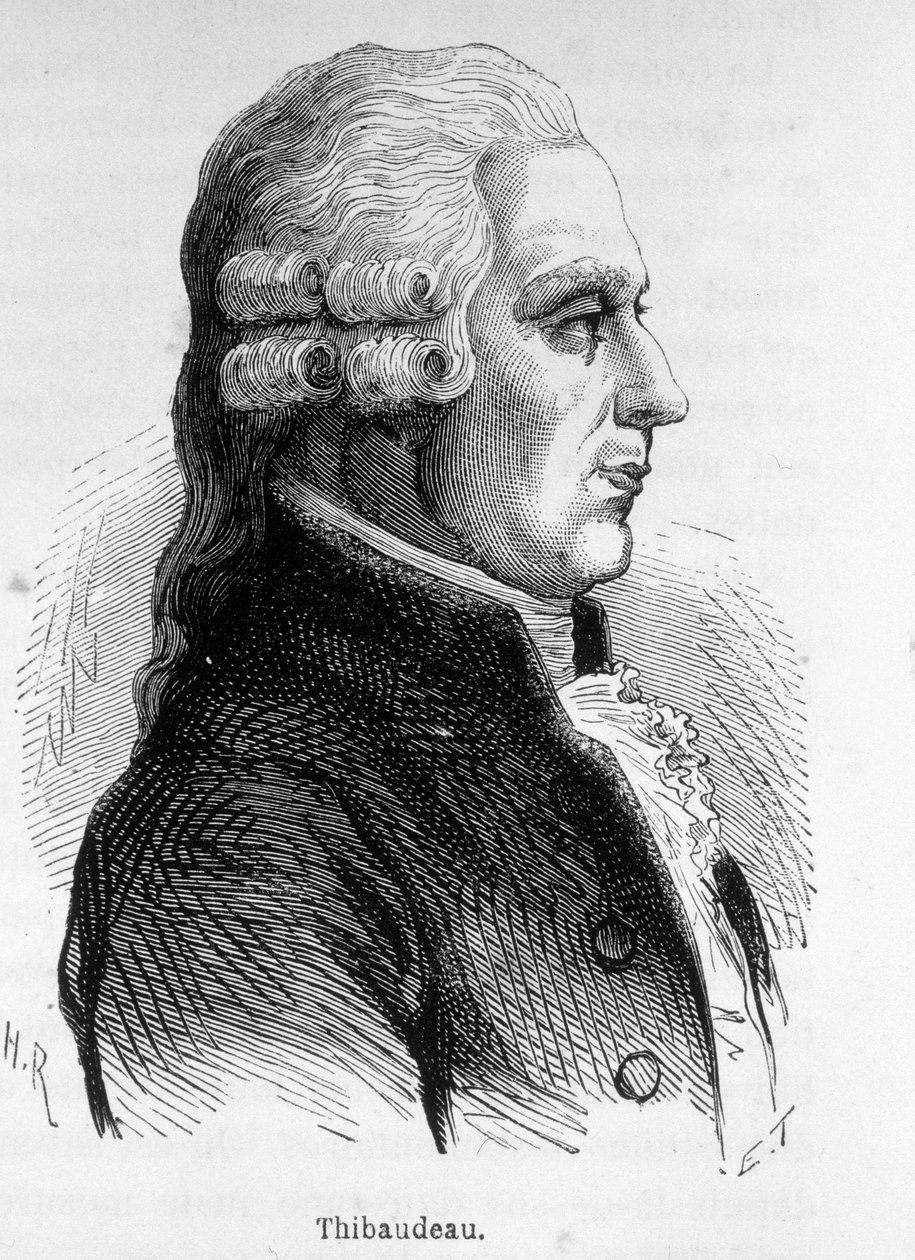 صورة تيبو ، سياسي فرنسي (1765-1854). بواسطة فنان غير معروف