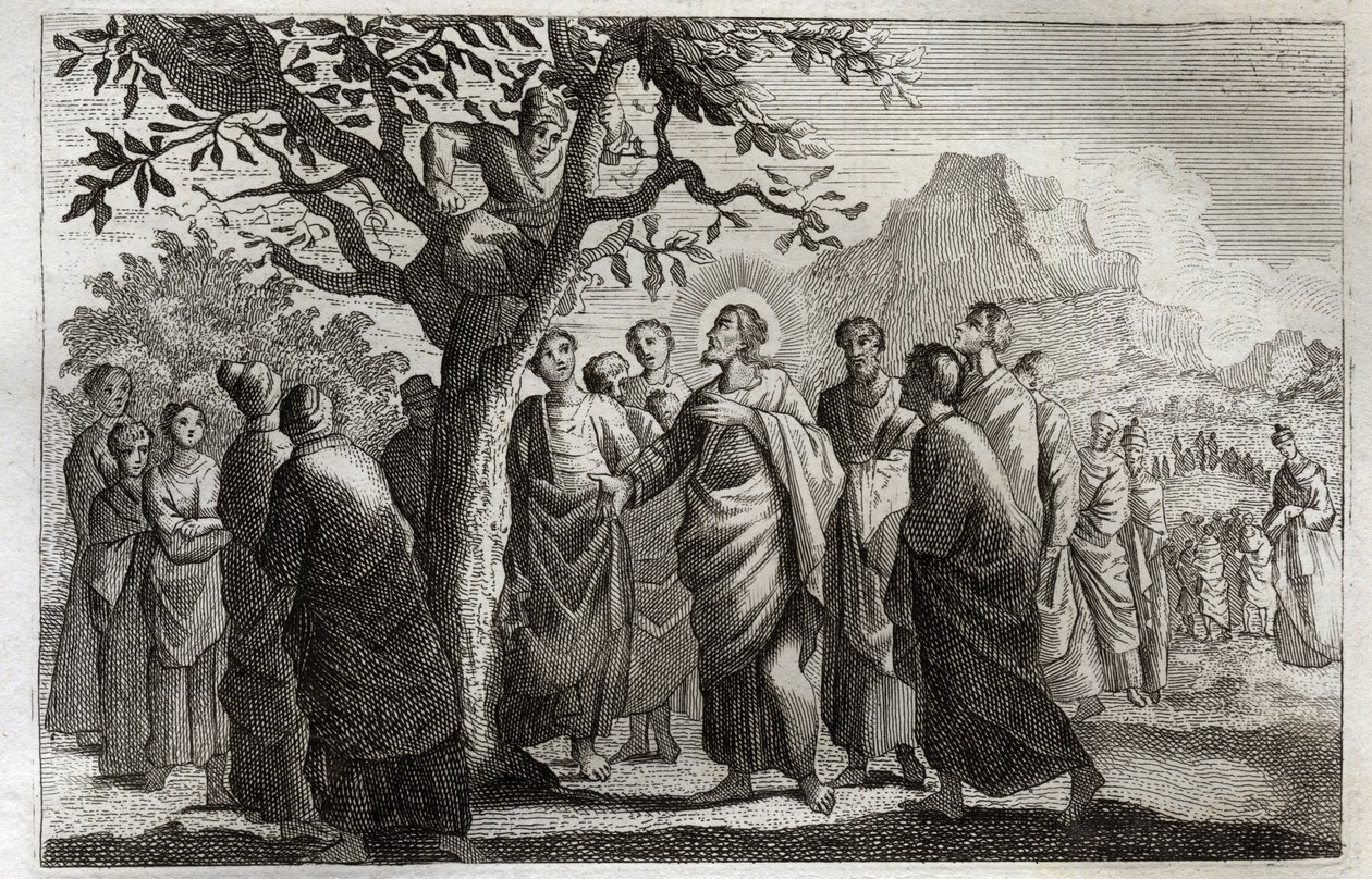 الكتاب المقدس Royaumont ، العهد الجديد: تحويل Zachee. يسوع المسيح يتحدث مع زكي جثم على الجميز. رسم توضيحي من عام 1811. بواسطة فنان غير معروف