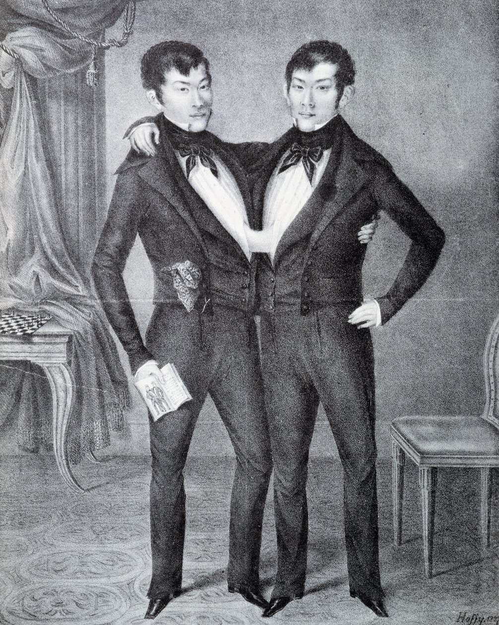 Siamese بواسطة فنان غير معروف