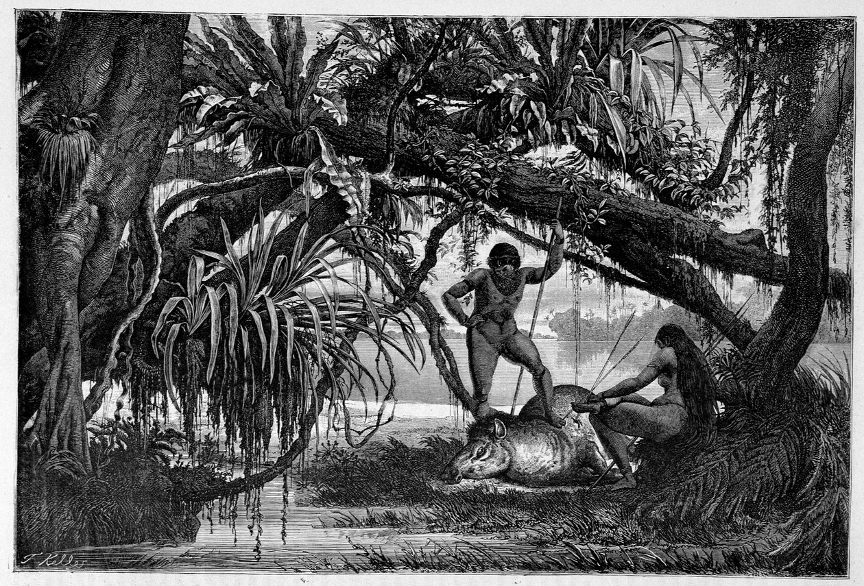 قتل التابير على يد هنود البرازيل في الفصل الثاني من عام 1874 في فيلم "حول العالم". بواسطة فنان غير معروف