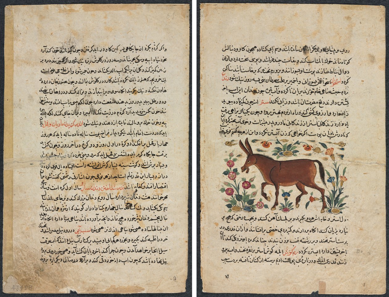 صفحة نصية ، نثر فارسي (ريكتو) ؛ خار (الحمار) (فيرسو) بواسطة فنان غير معروف