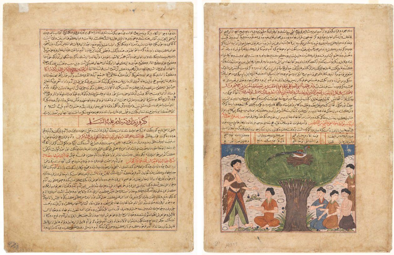 صفحة النص ، نثر فارسي (وجه) ؛ قصة آدم عليه الصلاة والسلام وبنوه ونسله (ظهر) بواسطة فنان غير معروف