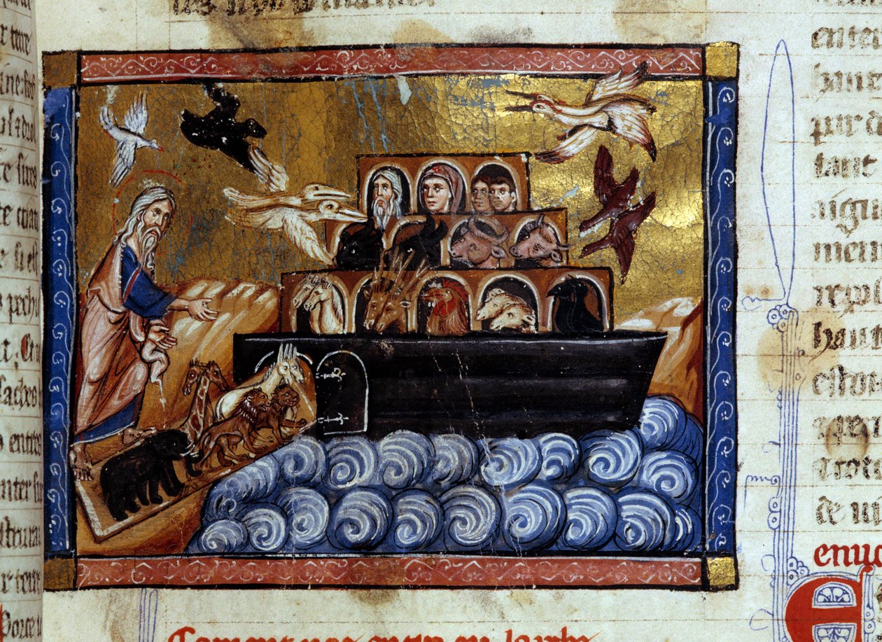 The Ark of Noe Miniature from a manuscript “Universal History””” 13th century. Dijon Municipal Library بواسطة فنان غير معروف