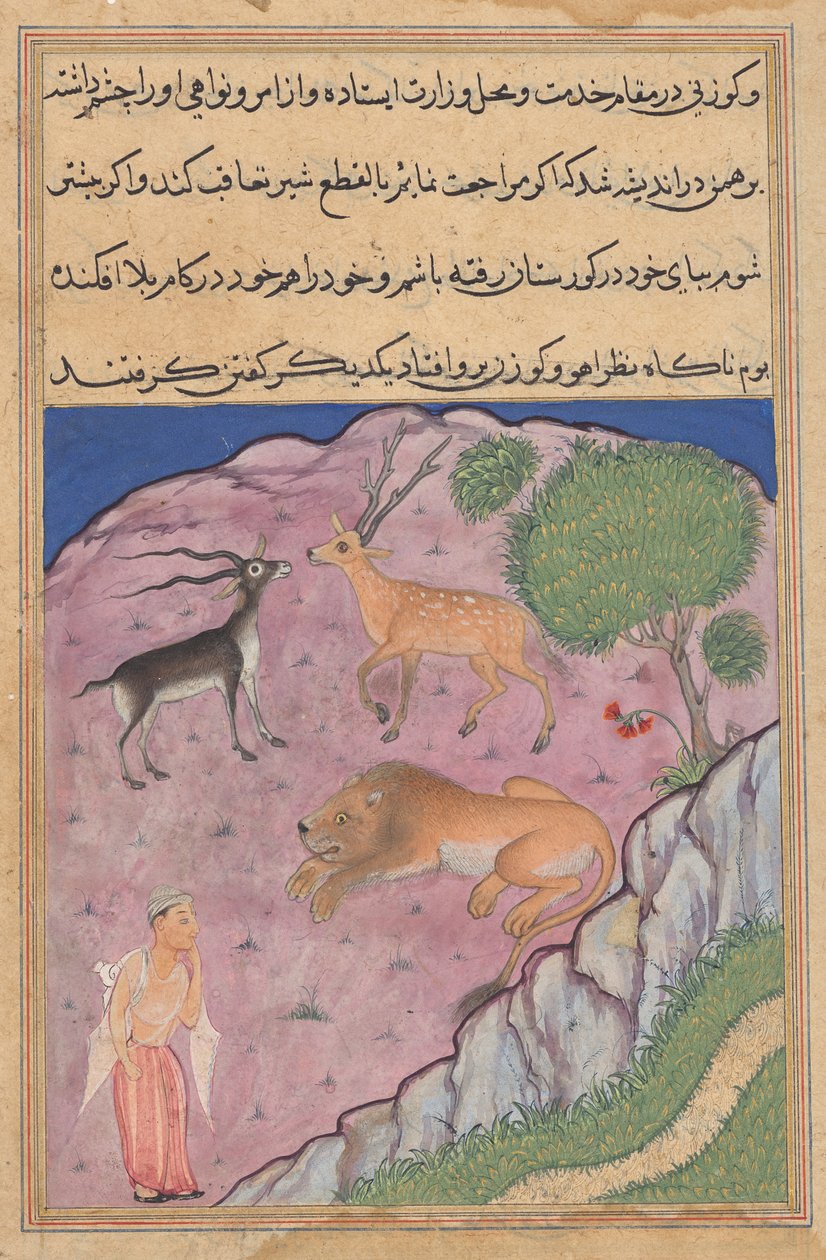 يأتي البراهمان على أسد لديه غزال وغزال كوزراء له ، من توتي ناما (حكايات ببغاء): الليلة الحادية والعشرون بواسطة فنان غير معروف