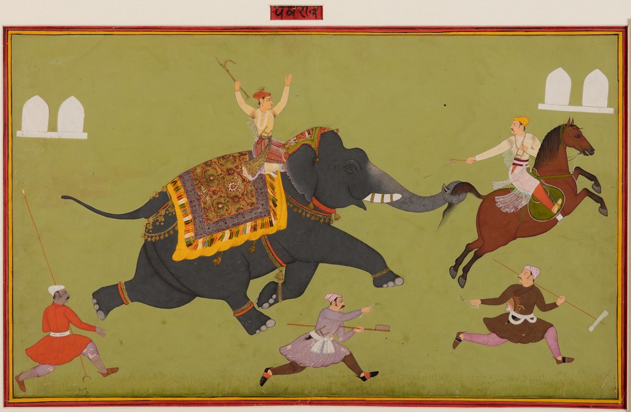 فيل ماهارانا جاي سينغ من ميوار (حكم من 1680 إلى 1698) يمسك حصانًا على ذيله بواسطة فنان غير معروف