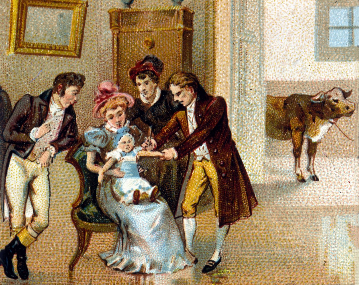 قام الطبيب الإنجليزي إدوارد جينر (1749-1823) بتلقيح الجدري على ذراع واحد جديد لتطعيمه. البقرة التي أُخذ منها المصل موجودة في الأسفل. الطباعة الحجرية الملونة من القرن التاسع عشر. بواسطة فنان غير معروف