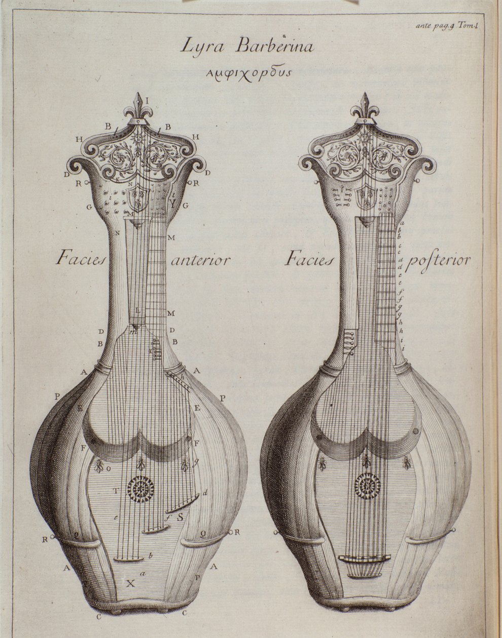 The Lyra Barberina (نقش بواسطة فنان غير معروف