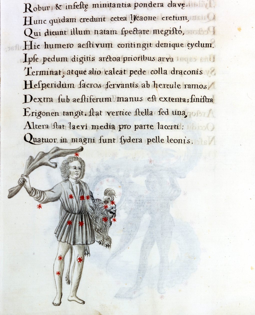 الكوكبة الممثلة هي تلك التي في Bouvier (أو Boots) ، والتي تدعم شعر Berenices باليد اليسرى. صفحة من مخطوطة من القرن الثامن عشر تستند إلى المخطوطة الأصلية "Astronomica" بقلم بياسينو دا بارما (بليز بارما) (1425-1457) يؤرخ بواسطة فنان غير معروف