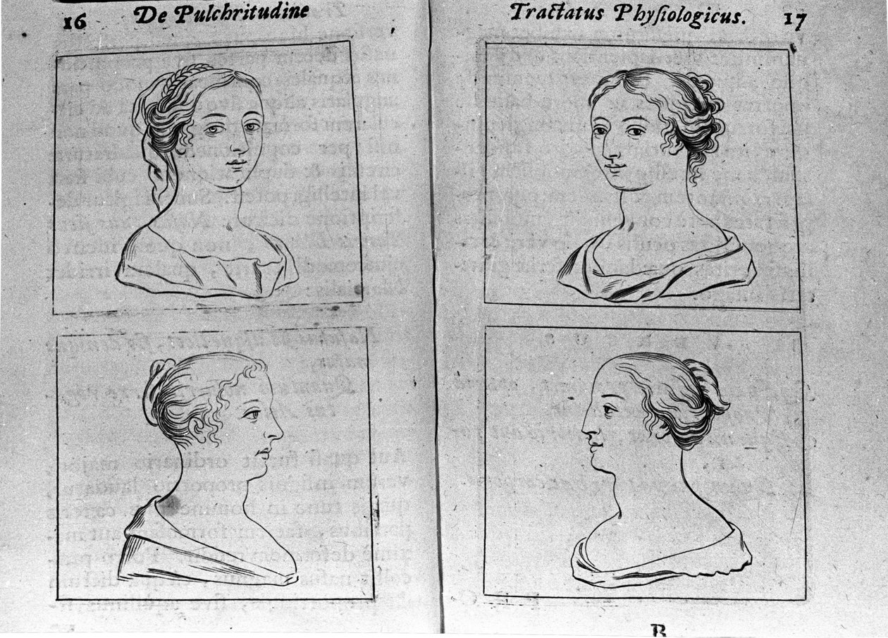صفحة الملامح النسائية المختلفة المأخوذة من "Tractatus physiologicus de pulchritudine" تتعامل مع Ernesto Venio (Ernestus Vaenius) للدفاع عن جمال الخلق ضد خصم مجهول. 1612 بواسطة فنان غير معروف