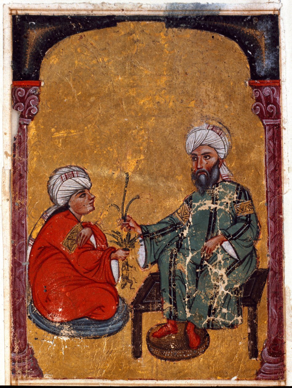 الطبيب وعالم النبات Pedanius Dioscoride (Dioscorides) (40-90 م) يشرح لأحد طلابه مزايا النباتات المصغرة المشتقة من أطروحته "De materia medica" (الصفحة اليسرى 2) من العراق. 1229 مكتبة متحف توبكابي سراي ، اسطنبول بواسطة فنان غير معروف