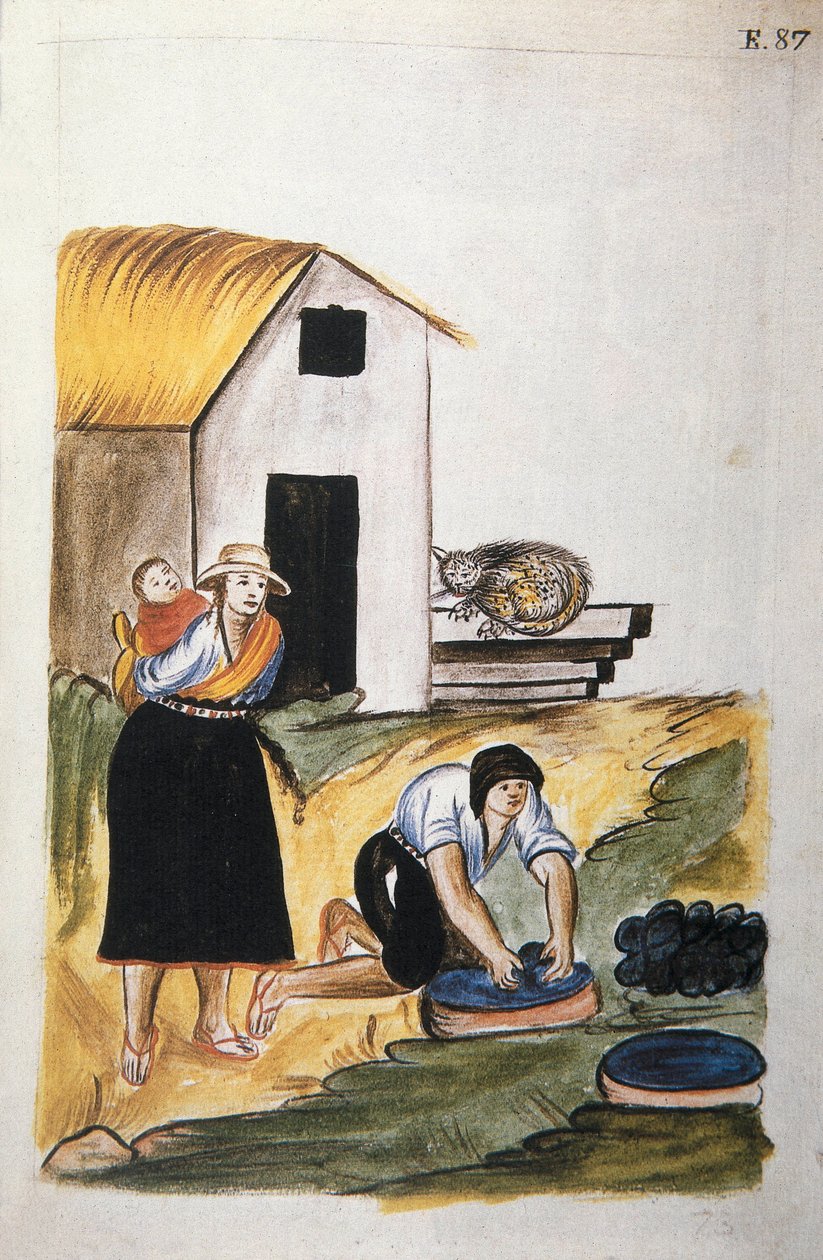 صباغة الصوف ، من كتاب "تروخيو ديل بيرو" أو "كوديس مارتينيز كومبانيون" ، بقلم بالتازار مارتينيز كومبانيون إي بوجاندا ، أسقف تروخيو (1782-1785) بواسطة فنان غير معروف