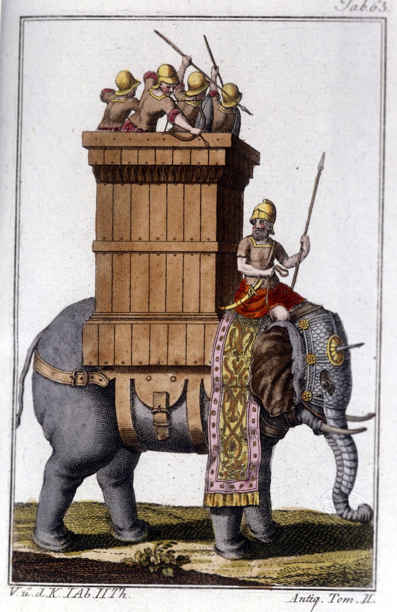 الفيل الذي استخدمه القرطاجيون كحيوان للعمل والحرب. النقش - في "" Enciclopedia universale Illustrata "" بواسطة فنان غير معروف