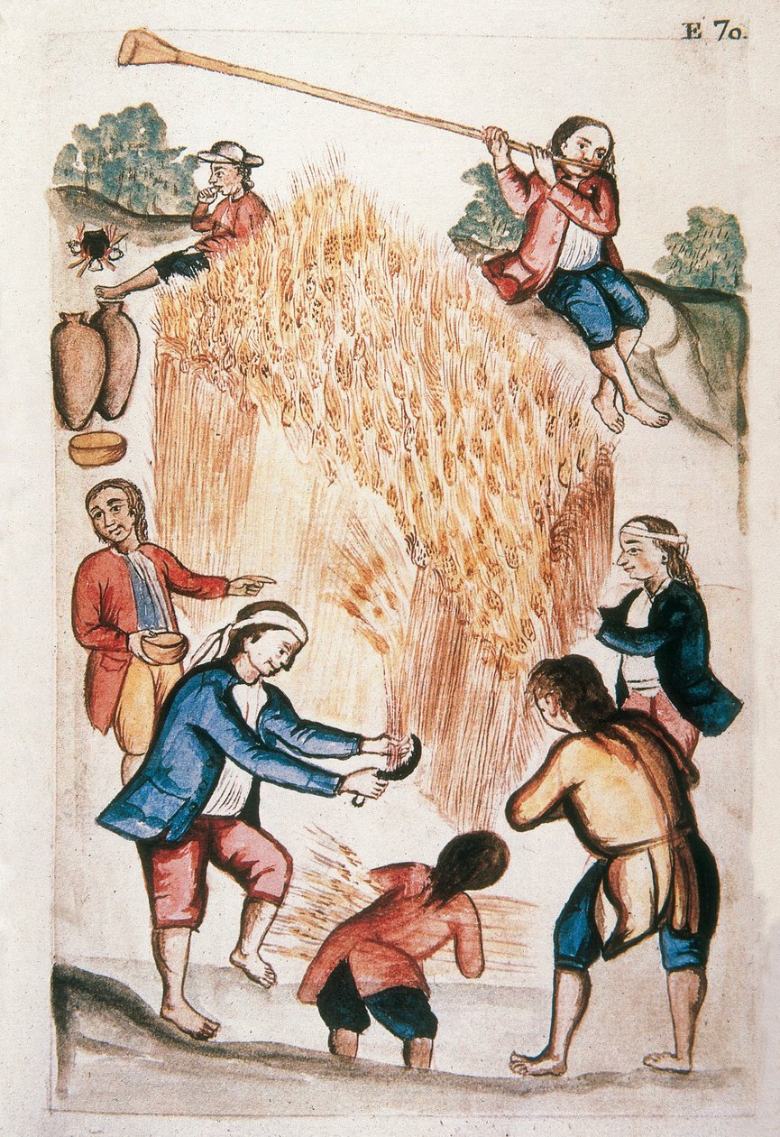 الحصاد ، من كتاب "Trujillo del Peru" أو "Códice Martínez Compañón" ، بقلم بالتازار مارتينيز كومبانيون إي بوجاندا ، أسقف تروخيو (1782-1785) بواسطة فنان غير معروف