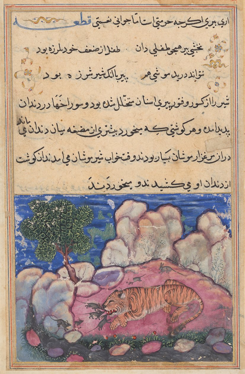 أسد منزعج من الفئران التي تأكل الطعام المحاصر في أسنانه الشيخوخة ، من Tuti-nama (حكايات ببغاء): الليلة الخامسة عشرة بواسطة فنان غير معروف