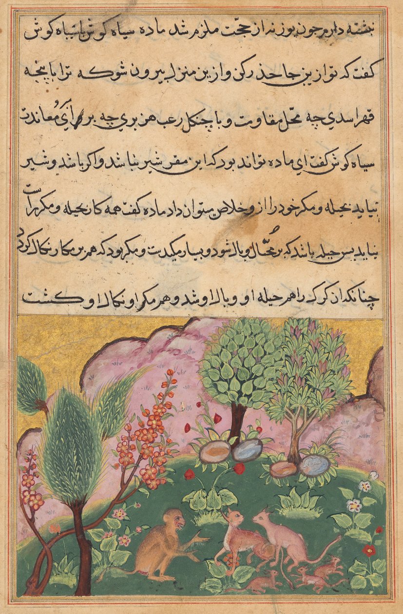 القرد ، بمثابة خادم الأسد ، يتحدث مع الوشق ورفيقه الذين وصلوا مع أشبالهم للاستقرار في منطقة الأسد ، من Tuti-nama (حكايات ببغاء): الليلة التاسعة والعشرون بواسطة فنان غير معروف