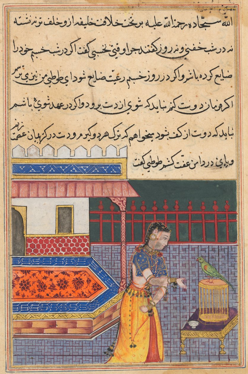 يخاطب الببغاء خوجاستا في بداية الليلة الحادية والأربعين ، من توتي ناما (حكايات ببغاء): الليلة الحادية والأربعون بواسطة فنان غير معروف