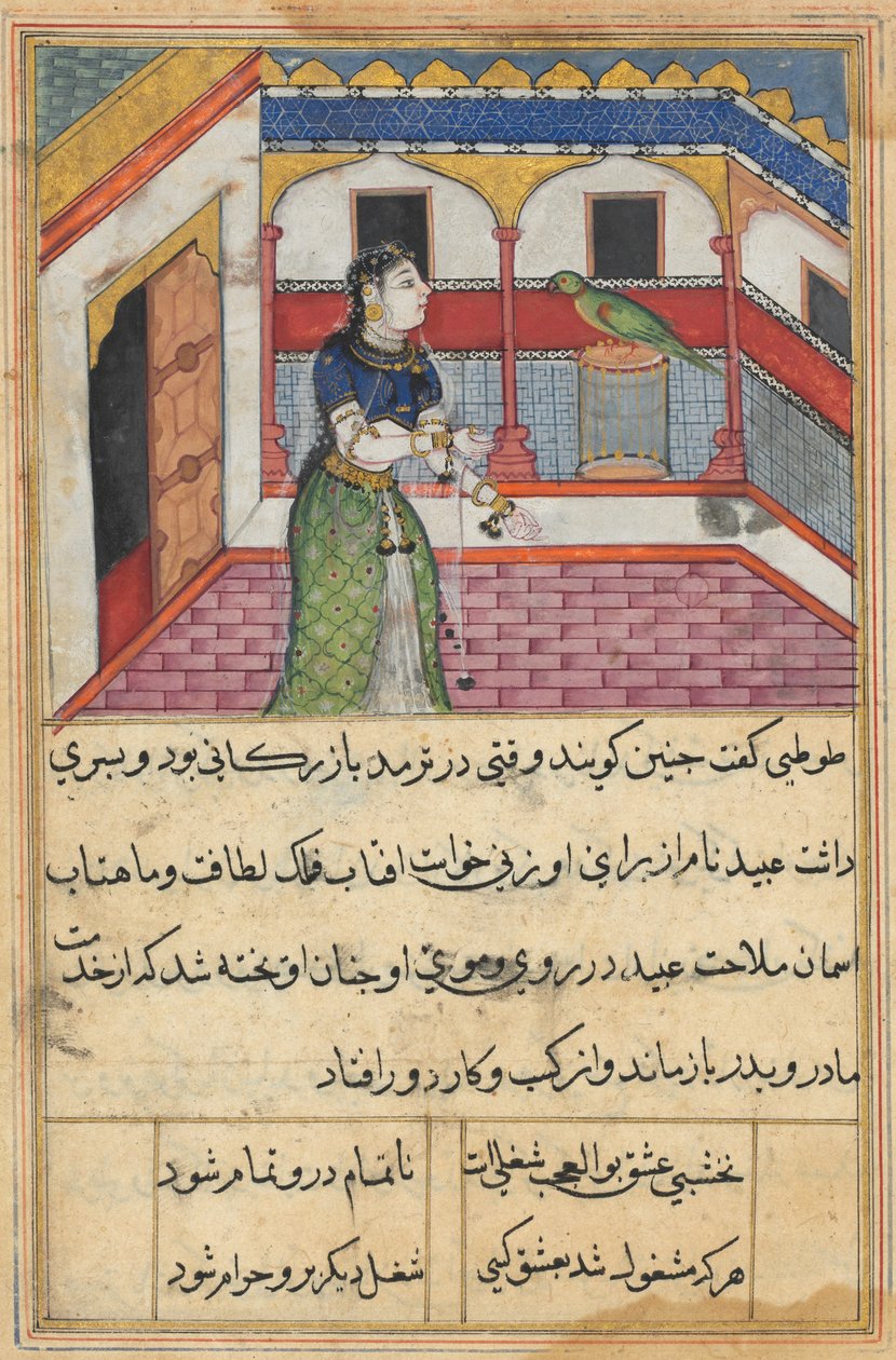 يخاطب الببغاء خوجاستا في بداية الليلة الثانية والأربعين ، من توتي-ناما (حكايات ببغاء) بواسطة فنان غير معروف