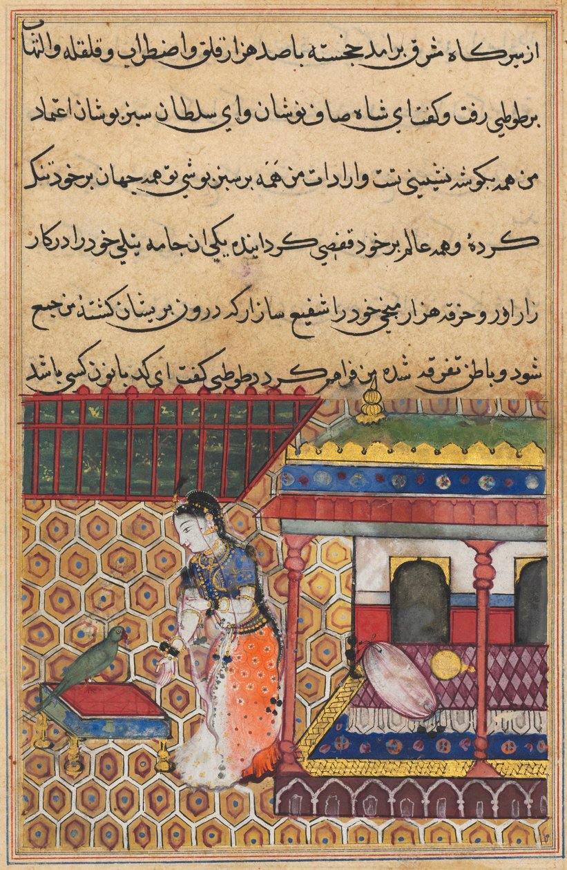 الببغاء يخاطب خوجاستا في بداية الليلة الثامنة والثلاثين ، من توتي ناما (حكايات ببغاء) بواسطة فنان غير معروف