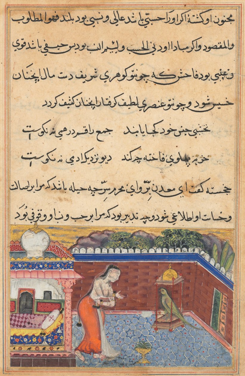 يخاطب الببغاء خوجاستا في بداية الليلة الحادية والثلاثين ، من توتي-ناما (حكايات ببغاء) بواسطة فنان غير معروف