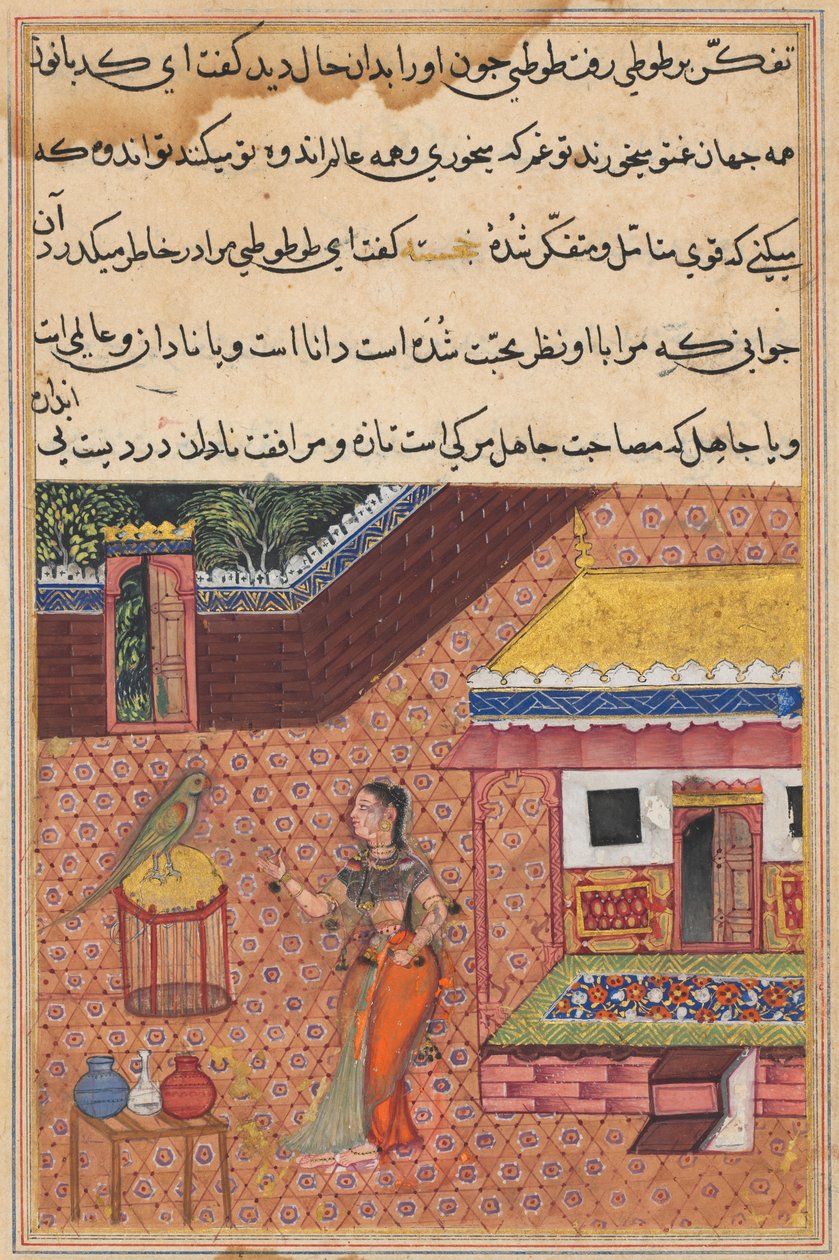 الببغاء يخاطب خوجاستا في بداية الليلة الرابعة والثلاثين ، من توتي-ناما (حكايات ببغاء) بواسطة فنان غير معروف