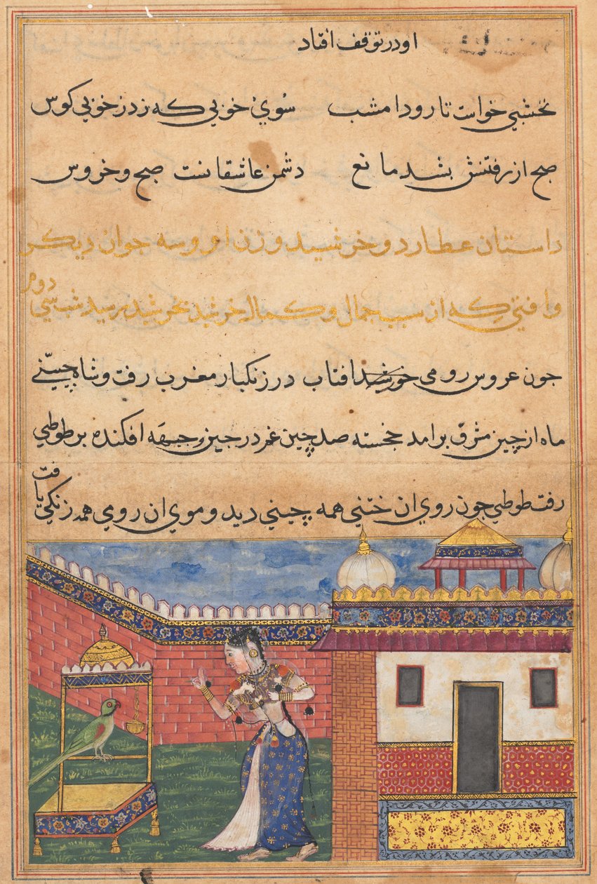 الببغاء يخاطب خوجاستا في بداية الليلة الثانية والثلاثين ، من توتي ناما (حكايات ببغاء) بواسطة فنان غير معروف