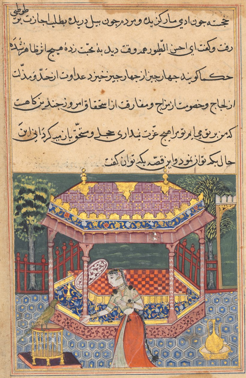 الببغاء يخاطب خوجاستا في بداية الليلة السابعة والثلاثين ، من توتي-ناما (حكايات ببغاء) بواسطة فنان غير معروف