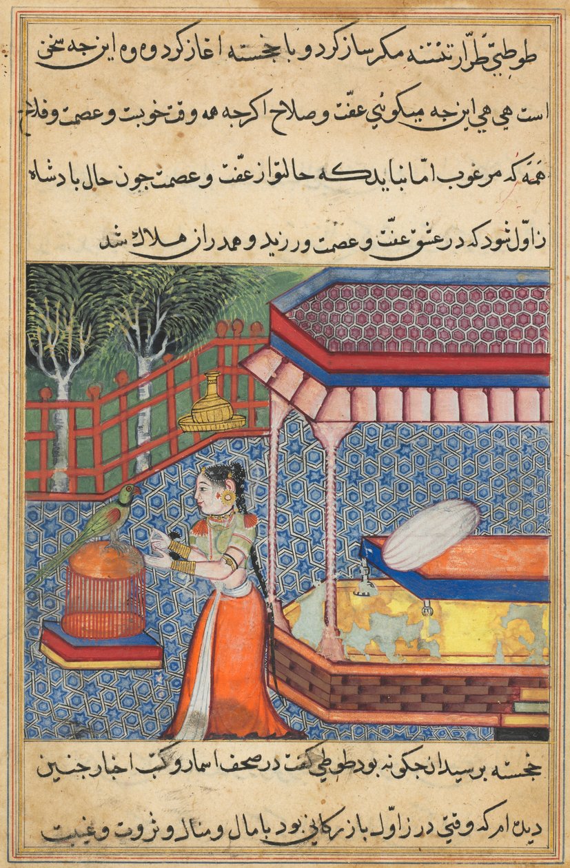 الببغاء يخاطب خوجاستا في بداية الليلة السادسة والثلاثين ، من توتي ناما (حكايات ببغاء) بواسطة فنان غير معروف