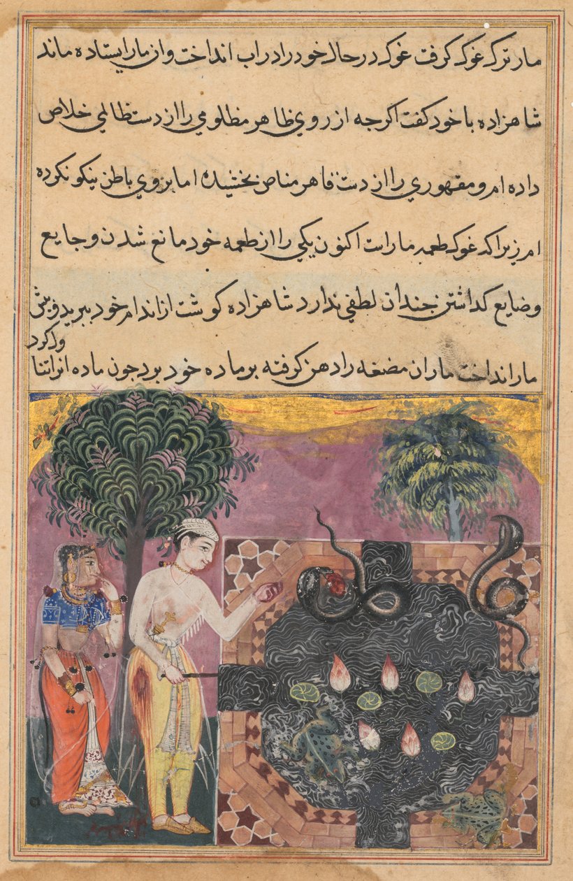 الأمير ، بعد أن حرم الثعبان من طعامه الطبيعي ، وهو ضفدع ، يطعمها بقطعة من لحمه ، من توتي ناما (حكايات ببغاء): الليلة الثامنة عشرة بواسطة فنان غير معروف