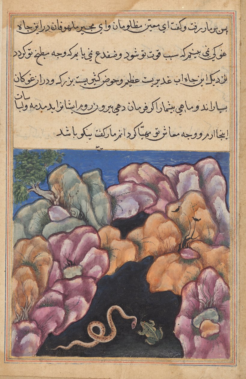 الثعبان يدخل في جدال مع الضفدع ، من توتي-ناما (حكايات ببغاء): الليلة السادسة والعشرون بواسطة فنان غير معروف