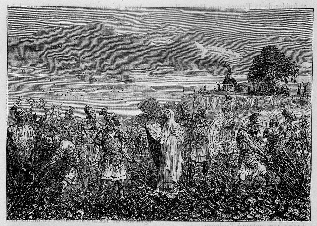 الكروم التي اقتلعت في بلاد الغال بأمر من الإمبراطور دوميتيان - في "" عجائب الصناعة "للويس فيغير ، باريس بواسطة فنان غير معروف