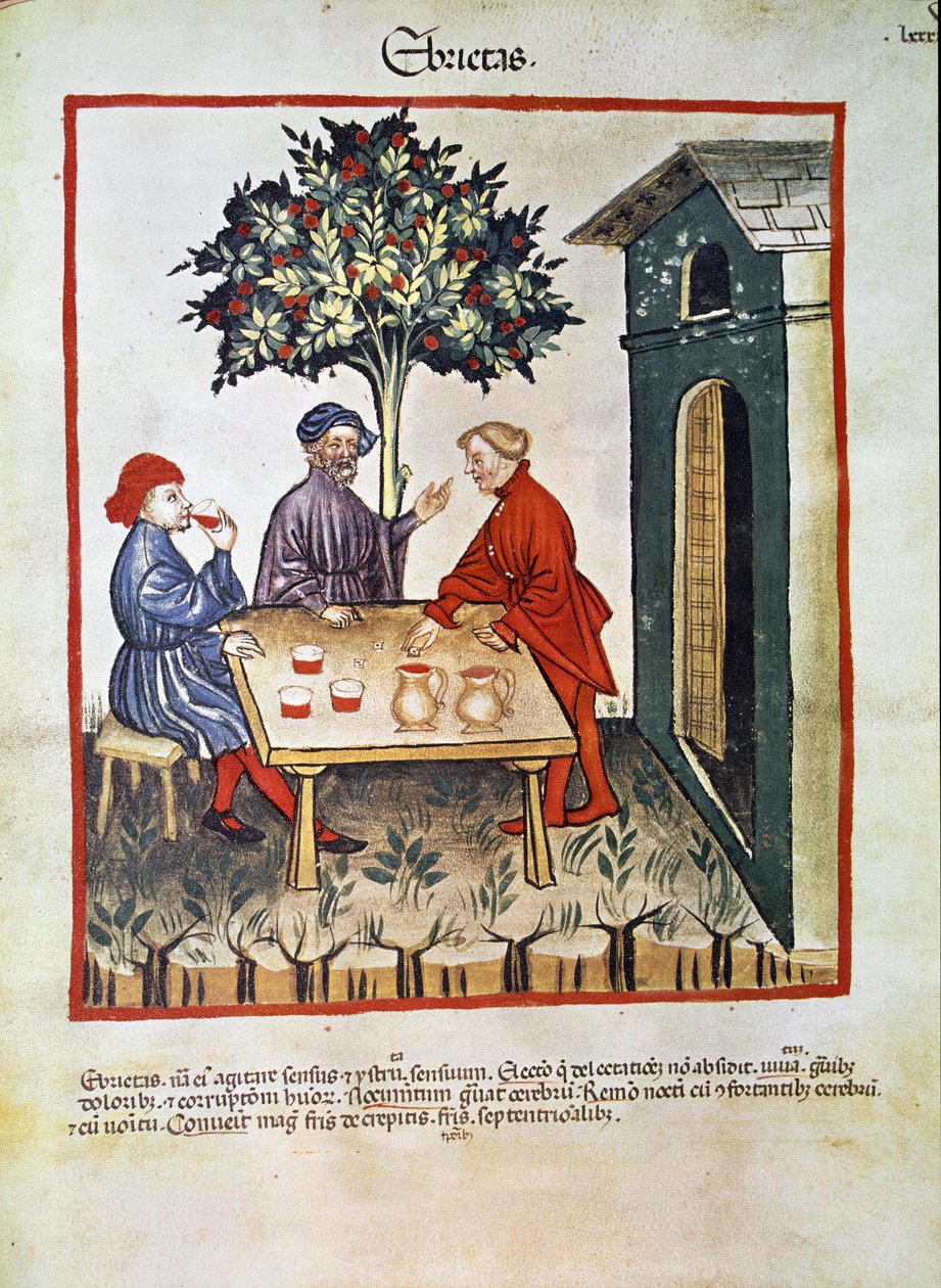 علاج الطب: "" السكر "" الصفحة مأخوذة من "" Tacuinum sanitatis "" (كود سر. نوفمبر 2644) حوالي 1400 فيينا ، Osterreischische Nationalbibliothek بواسطة فنان غير معروف